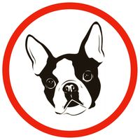 Boston avatar.jpg