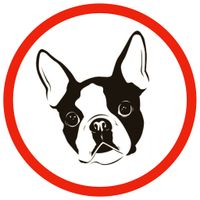 Boston avatar.jpg