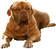 !cid_000301c7793f$f79f20d0$fdd8c154@eigenaar92a8b5.gif
