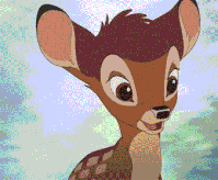 giphy.gif