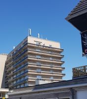 Profiel (TELEMOB)