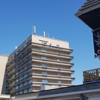 557877.jpg