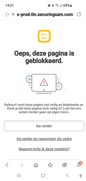 Screenshot_20220613-142122_Samsung Internet.jpg
