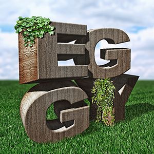 logo EGGY wood forum.jpg