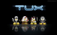 127638_papel-de-parede-linux-tux--127638_1440x900.jpg