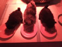 IMG_20230122_125701_043.jpg