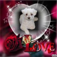 FB_IMG_1692011419172.jpg