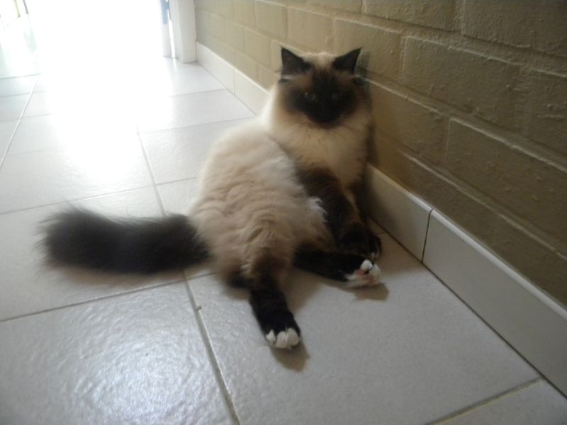 DSCN2137.JPG