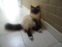 DSCN2137.JPG