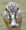 rsz_duck.png