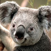 BartVanAssche