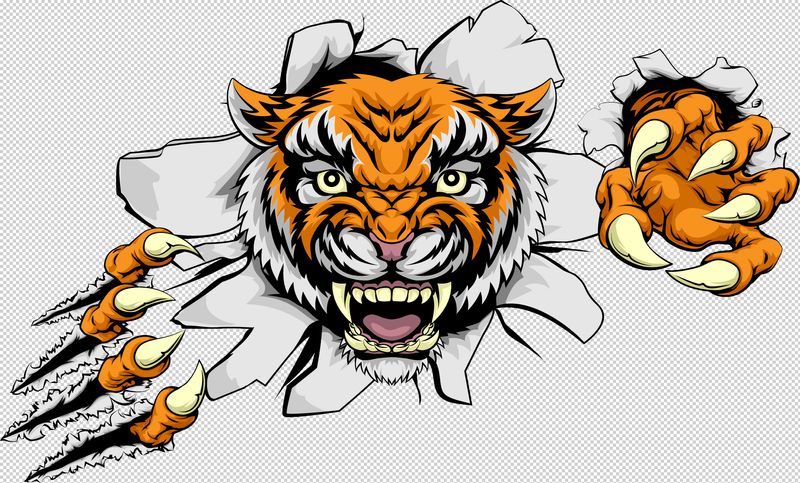 tiger_001.jpg