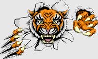 tiger_001.jpg