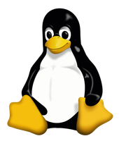 Profiel (Ex-Netweter)