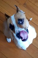 20170920_171624.jpg