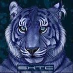 Profiel (SXTC)