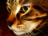 330207-bigthumbnail.jpg