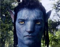 avatar.jpg