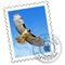 patrick37_0-1588365647789.png
